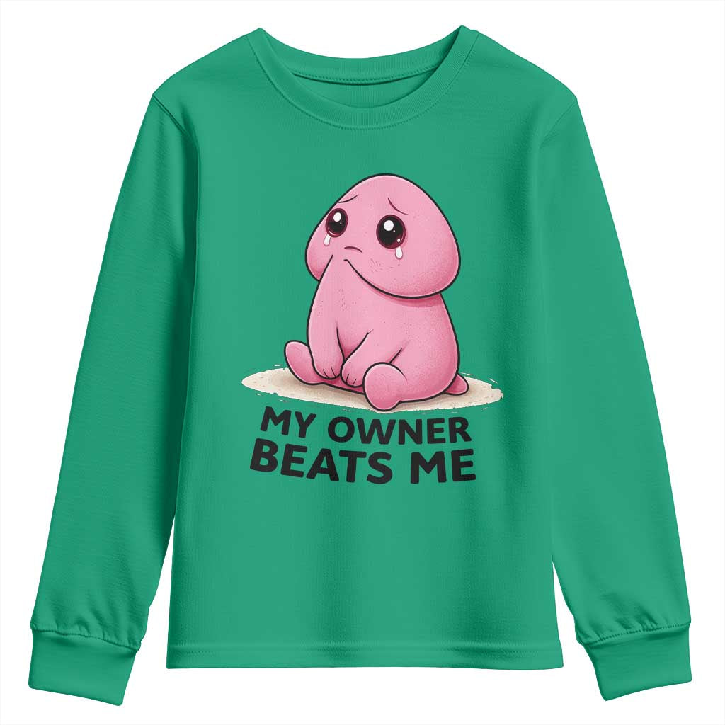 Funny Raunchy Meme My Owner Beats Me Youth Sweatshirt Sarcastic Adult Gag Gift