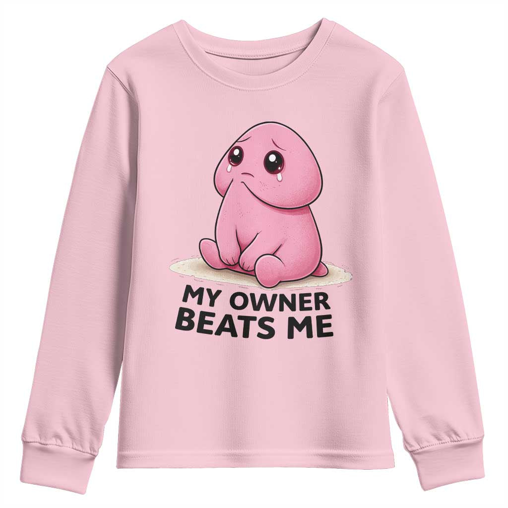 Funny Raunchy Meme My Owner Beats Me Youth Sweatshirt Sarcastic Adult Gag Gift