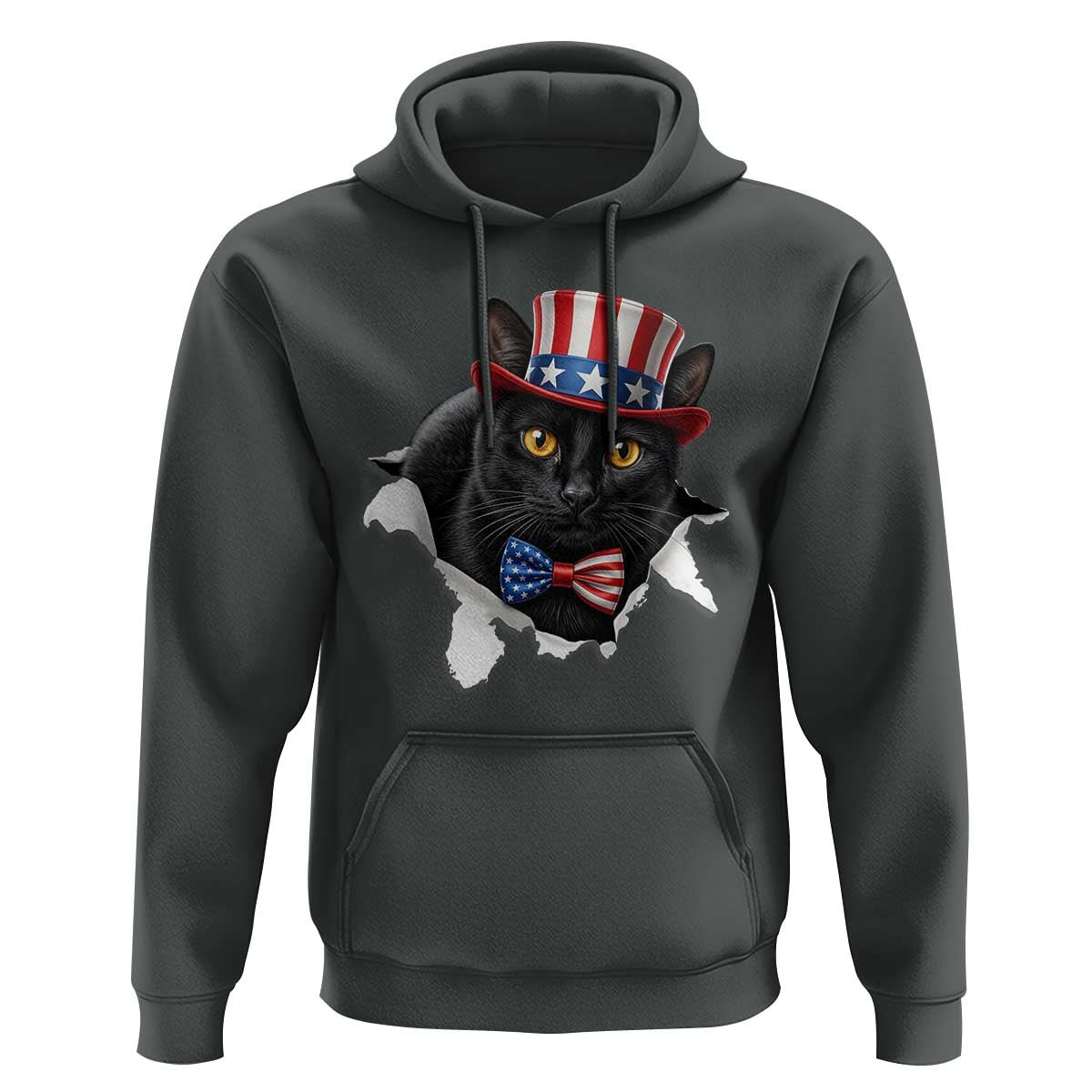Funny Black Cat With Uncle Sam Hat Hoodie Patriotic Pet Lover