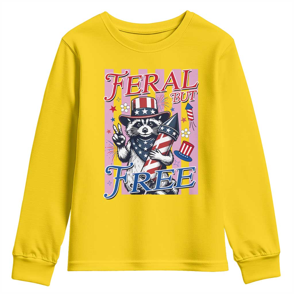 Funny Fourth Of July Raccoon Youth Sweatshirt Feral But Free