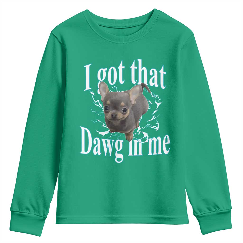 I Got That Dawg In Me Dog Meme Youth Sweatshirt Ironic Chihuahua Face - Wonder Print Shop