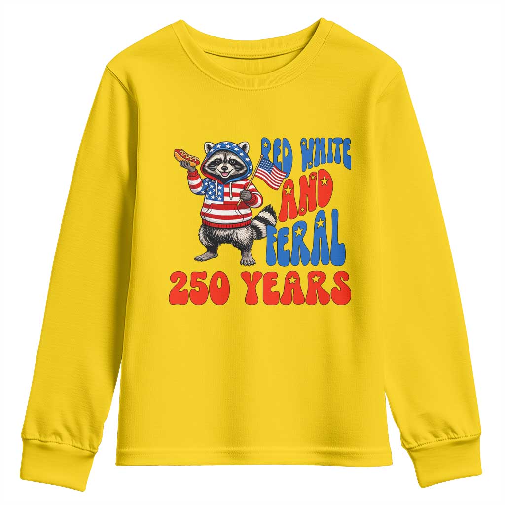 Funny Patriotic Raccoon Youth Sweatshirt Red White And Feral 250 Years