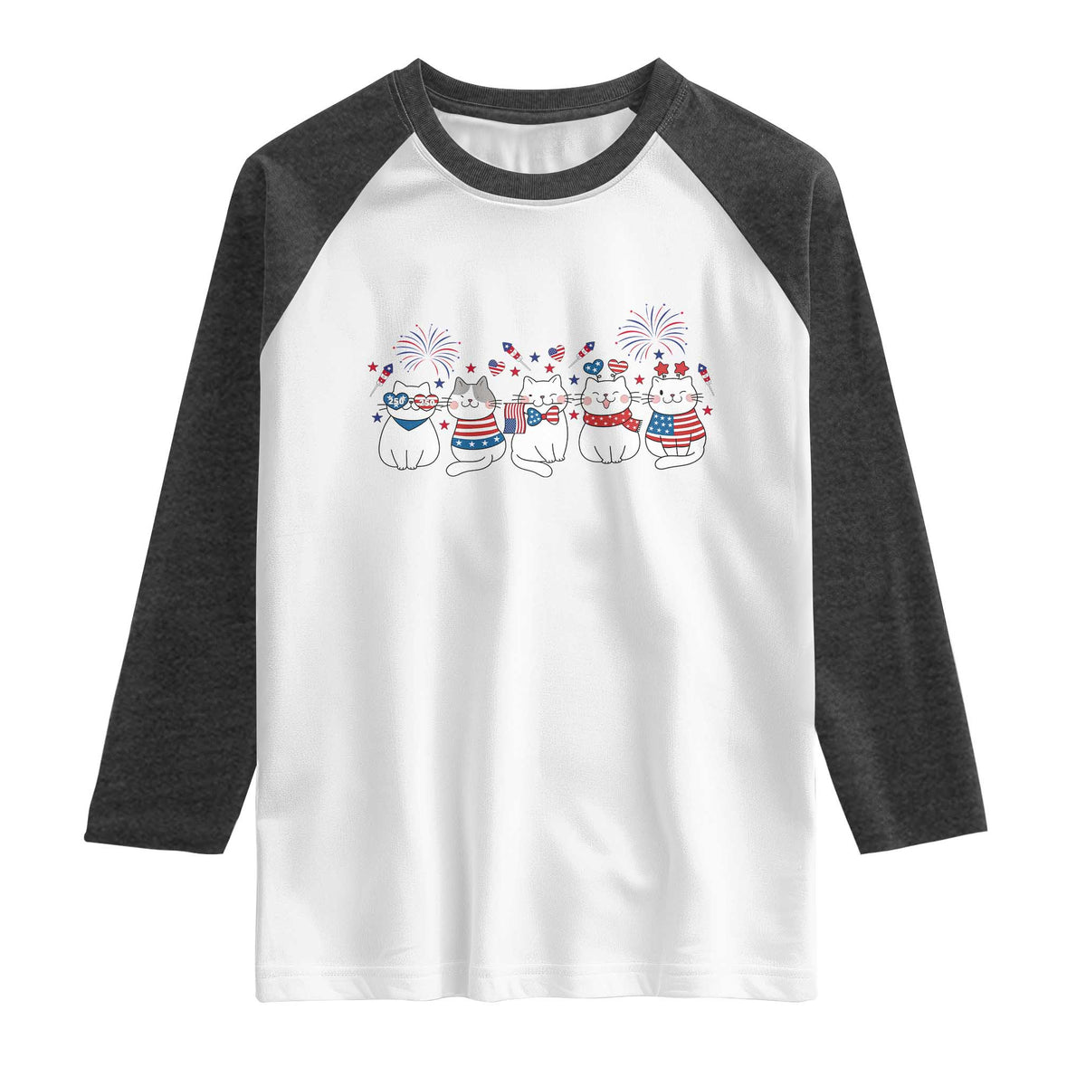 Patriotic Cat Lover Gift Raglan Shirt America 250 Anniversary