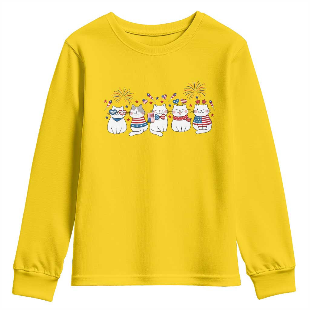Patriotic Cat Lover Gift Youth Sweatshirt America 250 Anniversary
