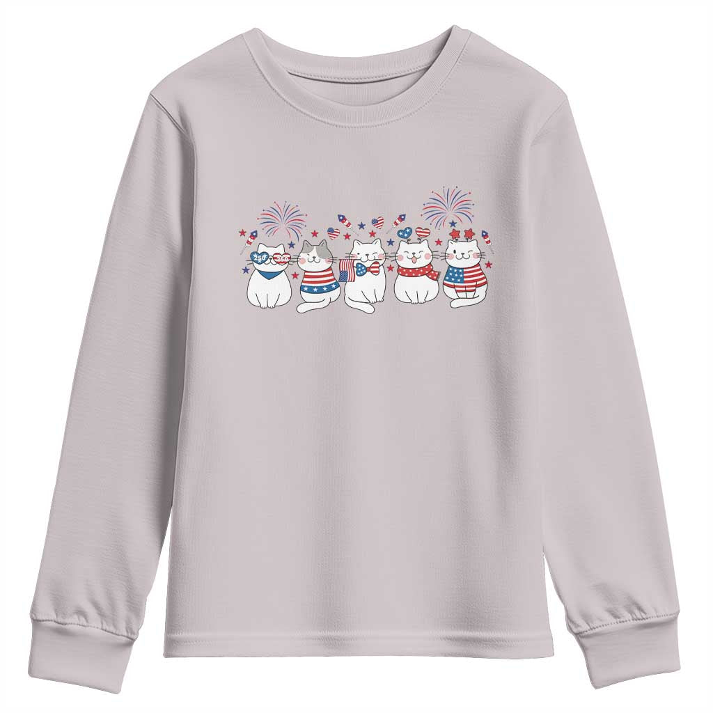 Patriotic Cat Lover Gift Youth Sweatshirt America 250 Anniversary