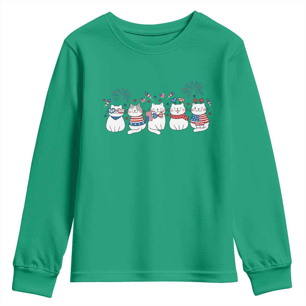 Patriotic Cat Lover Gift Youth Sweatshirt America 250 Anniversary