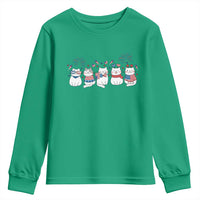 Patriotic Cat Lover Gift Youth Sweatshirt America 250 Anniversary