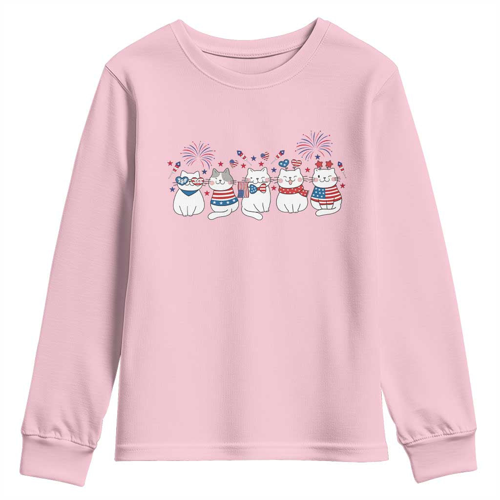 Patriotic Cat Lover Gift Youth Sweatshirt America 250 Anniversary