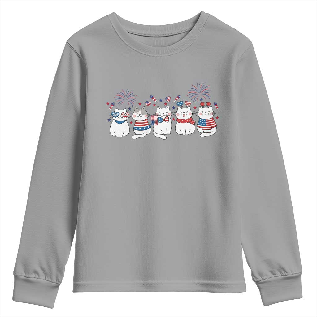 Patriotic Cat Lover Gift Youth Sweatshirt America 250 Anniversary