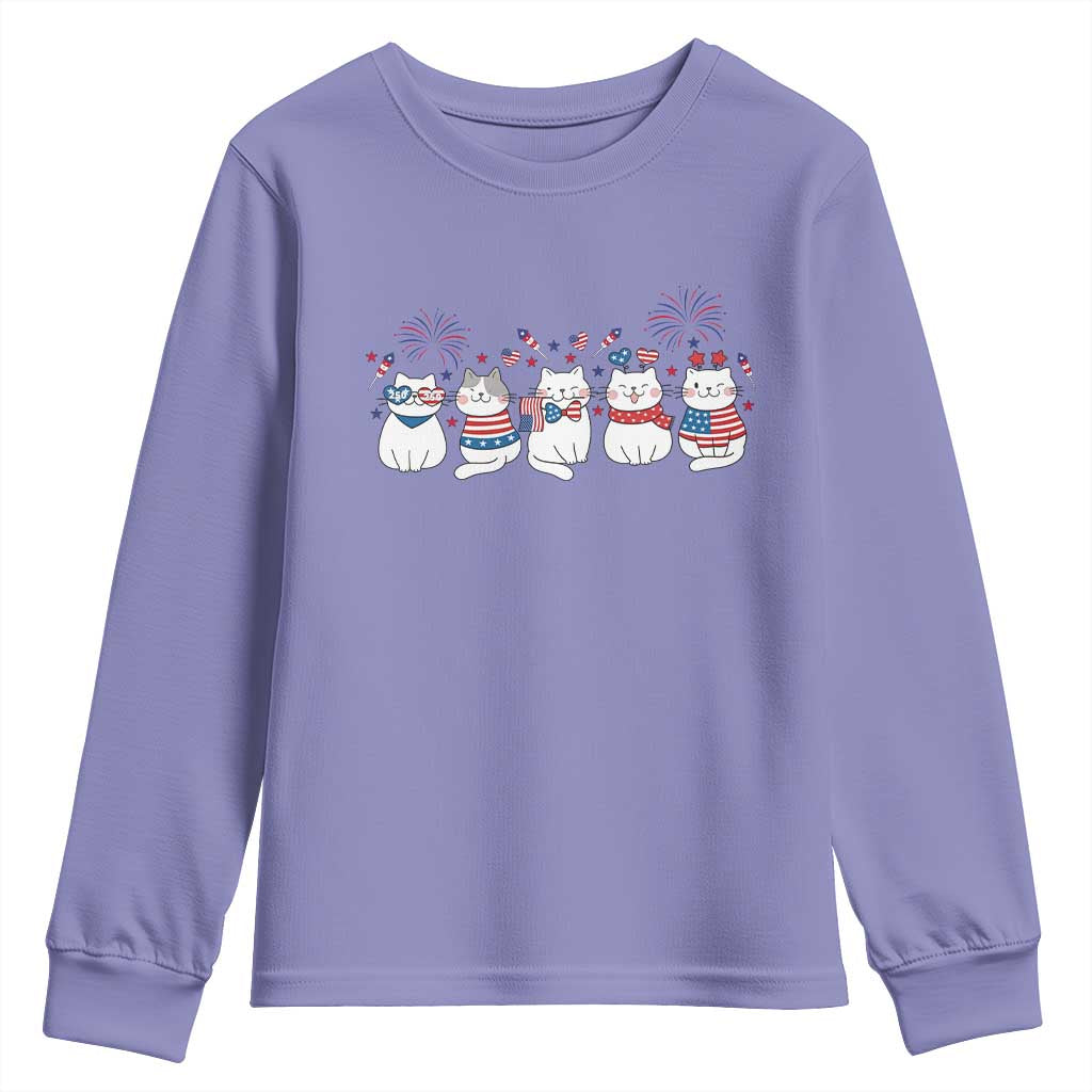 Patriotic Cat Lover Gift Youth Sweatshirt America 250 Anniversary