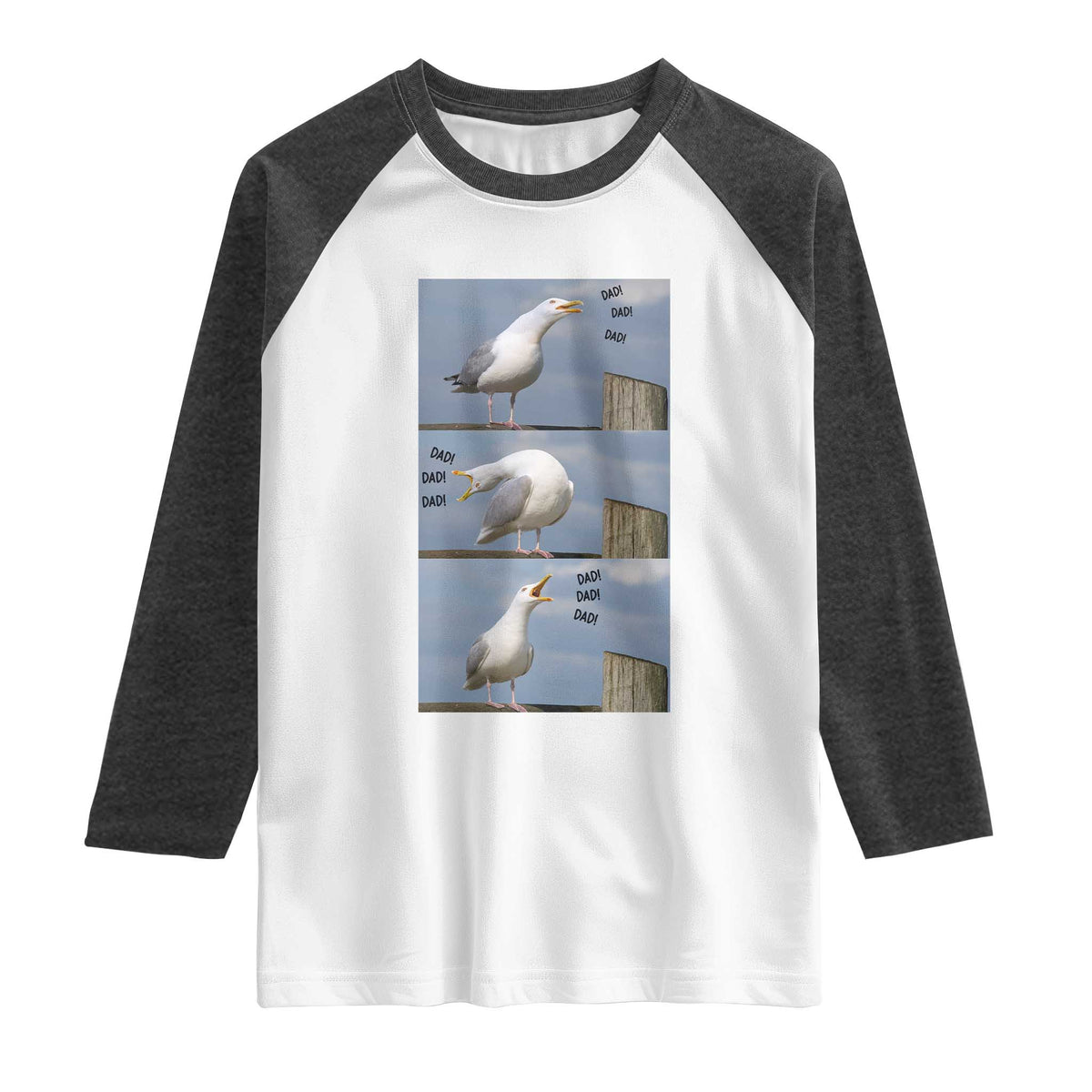 Funny Seagull Papa Raglan Shirt Fathers Day Gift Ocean Life Dad Graphic