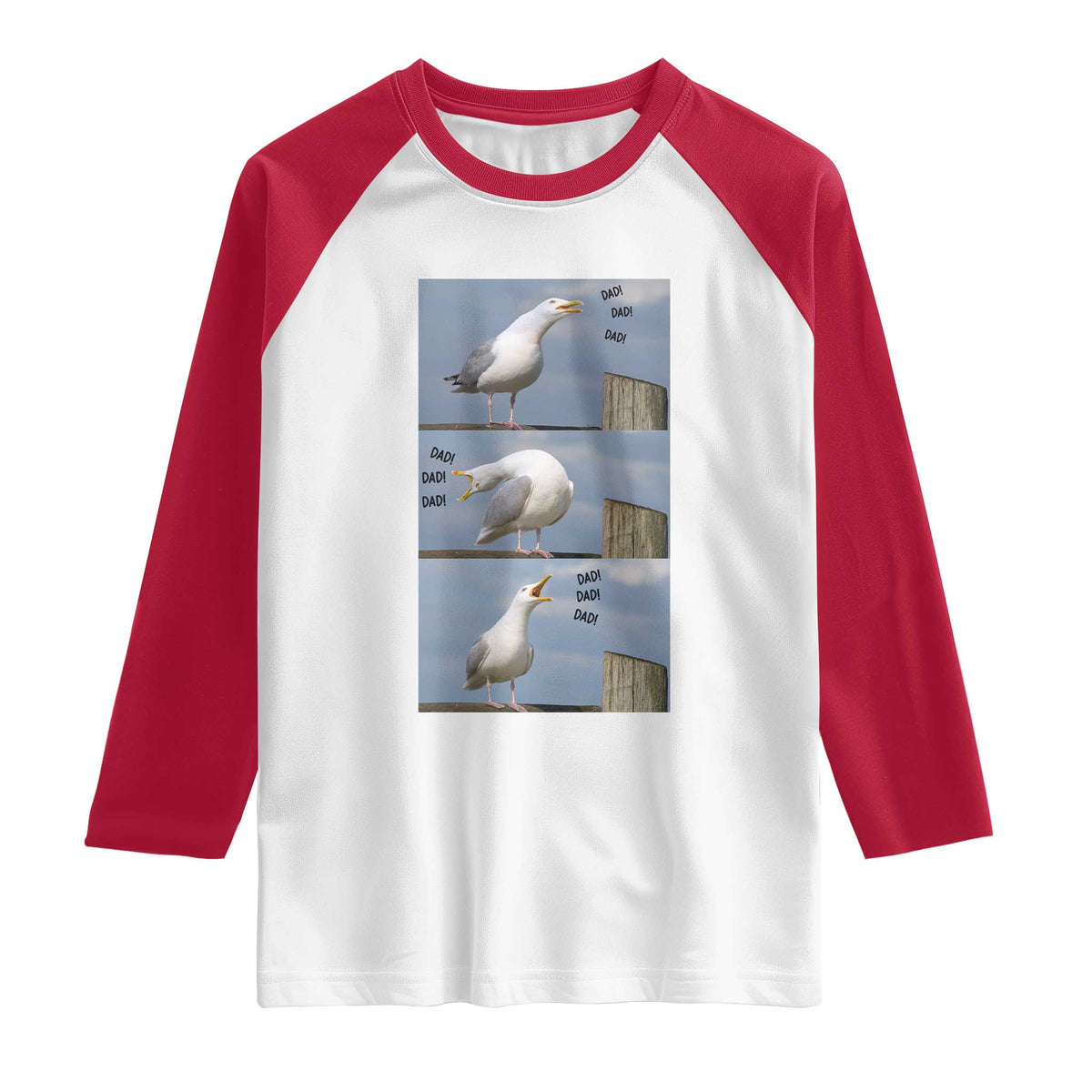 Funny Seagull Papa Raglan Shirt Fathers Day Gift Ocean Life Dad Graphic