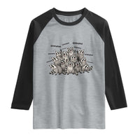 Funny Raccoon Grandma Raglan Shirt Grandmother Chaos Trash Panda