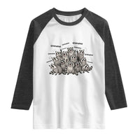 Funny Raccoon Grandma Raglan Shirt Grandmother Chaos Trash Panda