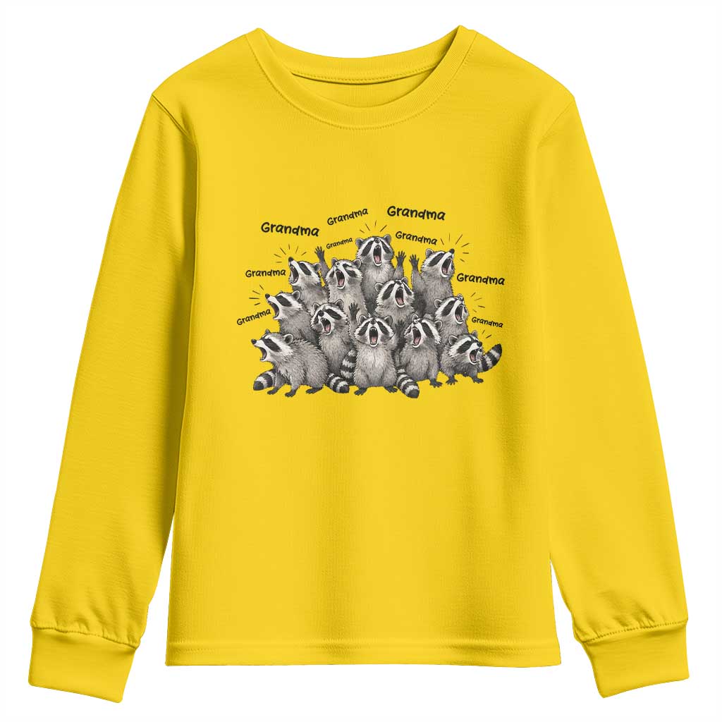 Funny Raccoon Grandma Youth Sweatshirt Grandmother Chaos Trash Panda