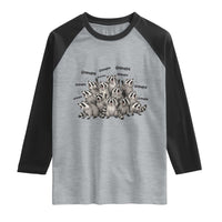 Funny Raccoon Grandpa Raglan Shirt Chaos Coordinator Grandpa Life Graphic