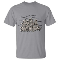 Funny Raccoon Grandpa T Shirt Chaos Coordinator Grandpa Life Graphic