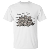 Funny Raccoon Grandpa T Shirt Chaos Coordinator Grandpa Life Graphic