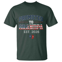 Patriotic Promoted To Grandpa Est 2026 T Shirt US Flag New Father Gift