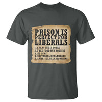 Vintage Prison Is Perfect For Liberals T Shirt Funny Political Graphic