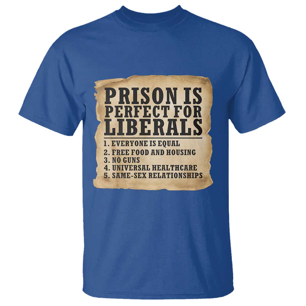 Vintage Prison Is Perfect For Liberals T Shirt Funny Political Graphic