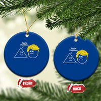 Funny Political Geometry Joke Ceramic Ornament Youre Pointless Graphic