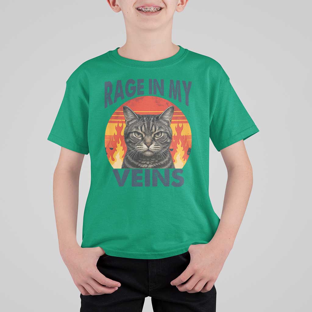 Cat Meme T Shirt For Kid Funny Rage In My Veins Sarcastic Animal Humor - Wonder Print Shop