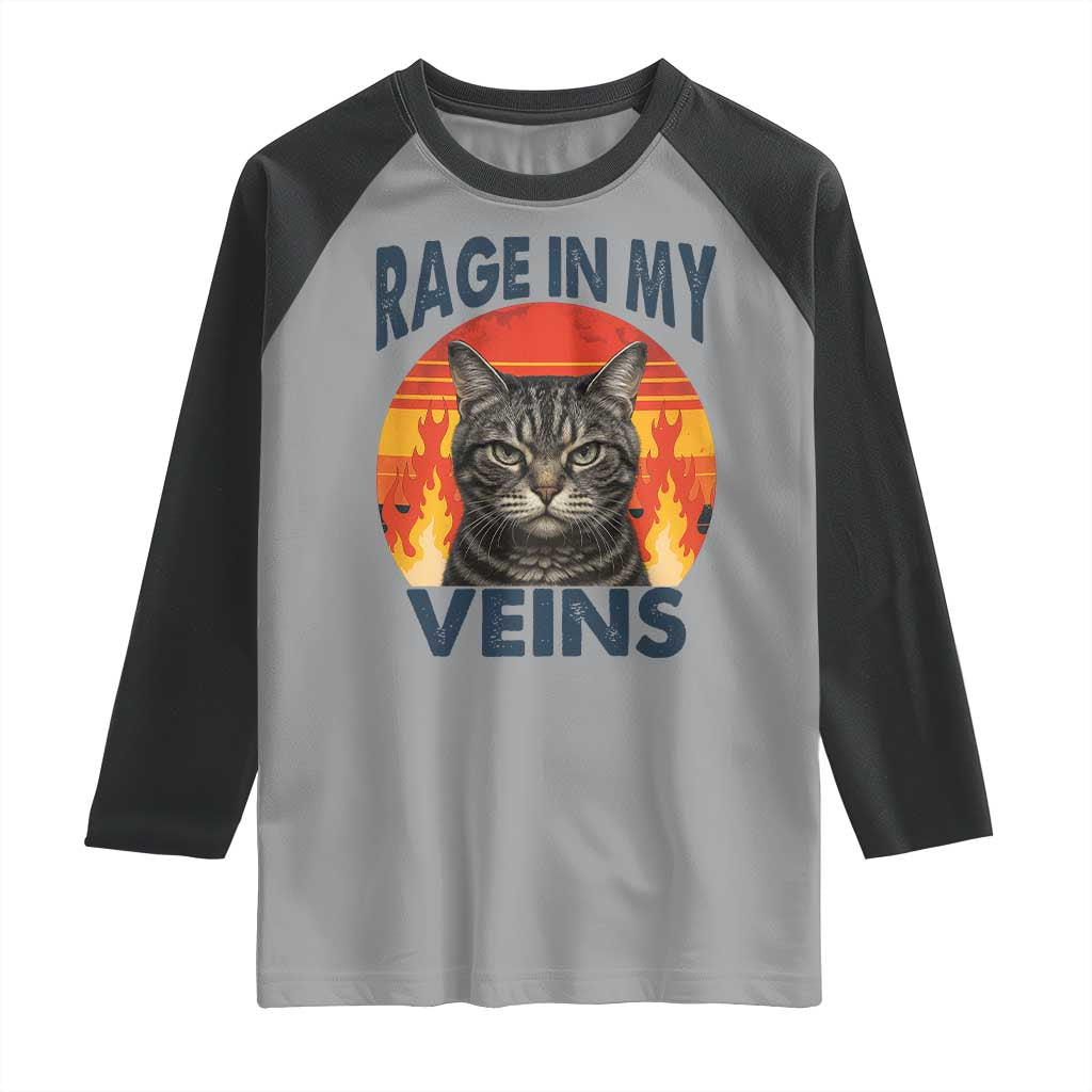 Cat Meme Raglan Shirt Funny Rage In My Veins Sarcastic Animal Humor - Wonder Print Shop