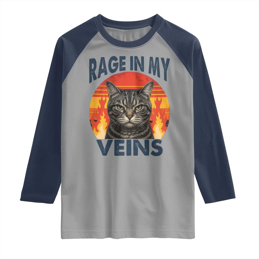 Cat Meme Raglan Shirt Funny Rage In My Veins Sarcastic Animal Humor - Wonder Print Shop