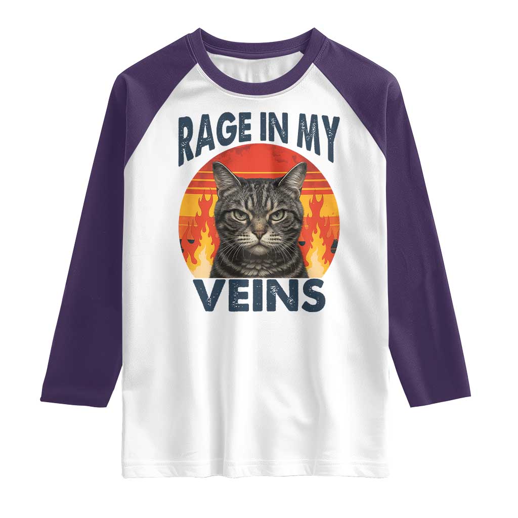 Cat Meme Raglan Shirt Funny Rage In My Veins Sarcastic Animal Humor - Wonder Print Shop