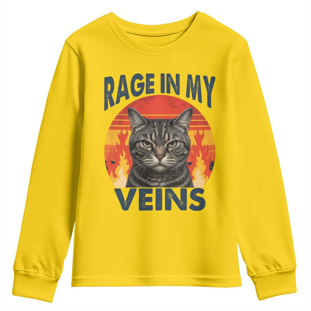 Cat Meme Youth Sweatshirt Funny Rage In My Veins Sarcastic Animal Humor - Wonder Print Shop