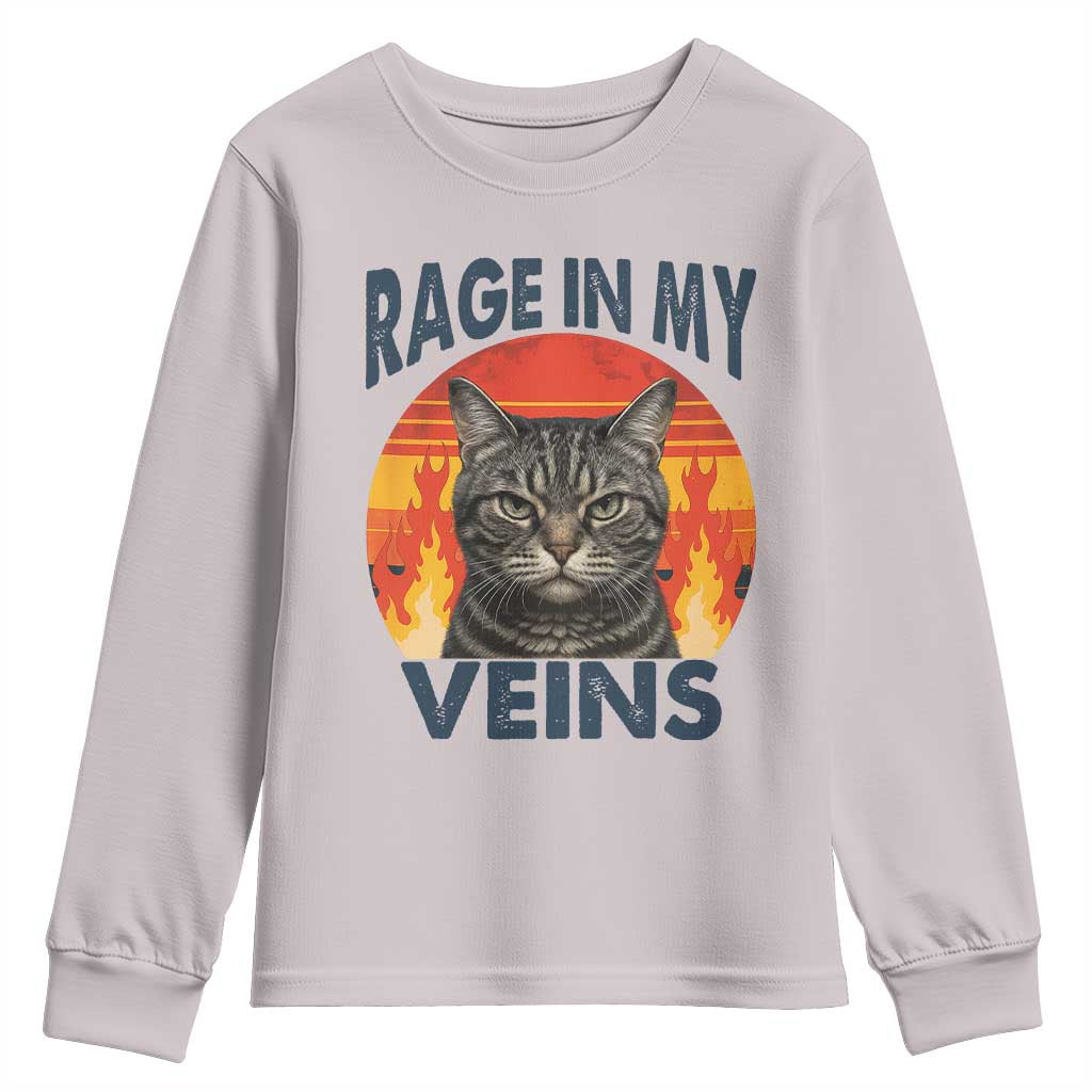 Cat Meme Youth Sweatshirt Funny Rage In My Veins Sarcastic Animal Humor - Wonder Print Shop