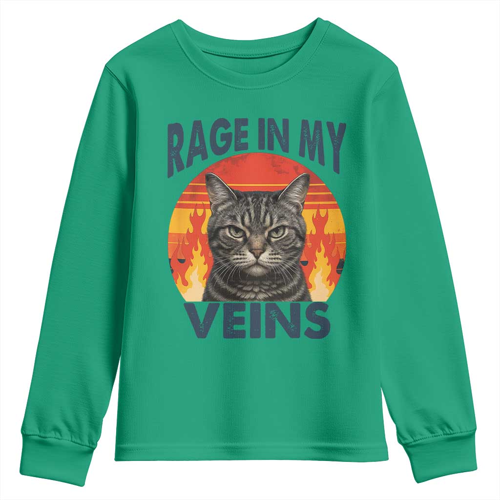 Cat Meme Youth Sweatshirt Funny Rage In My Veins Sarcastic Animal Humor - Wonder Print Shop