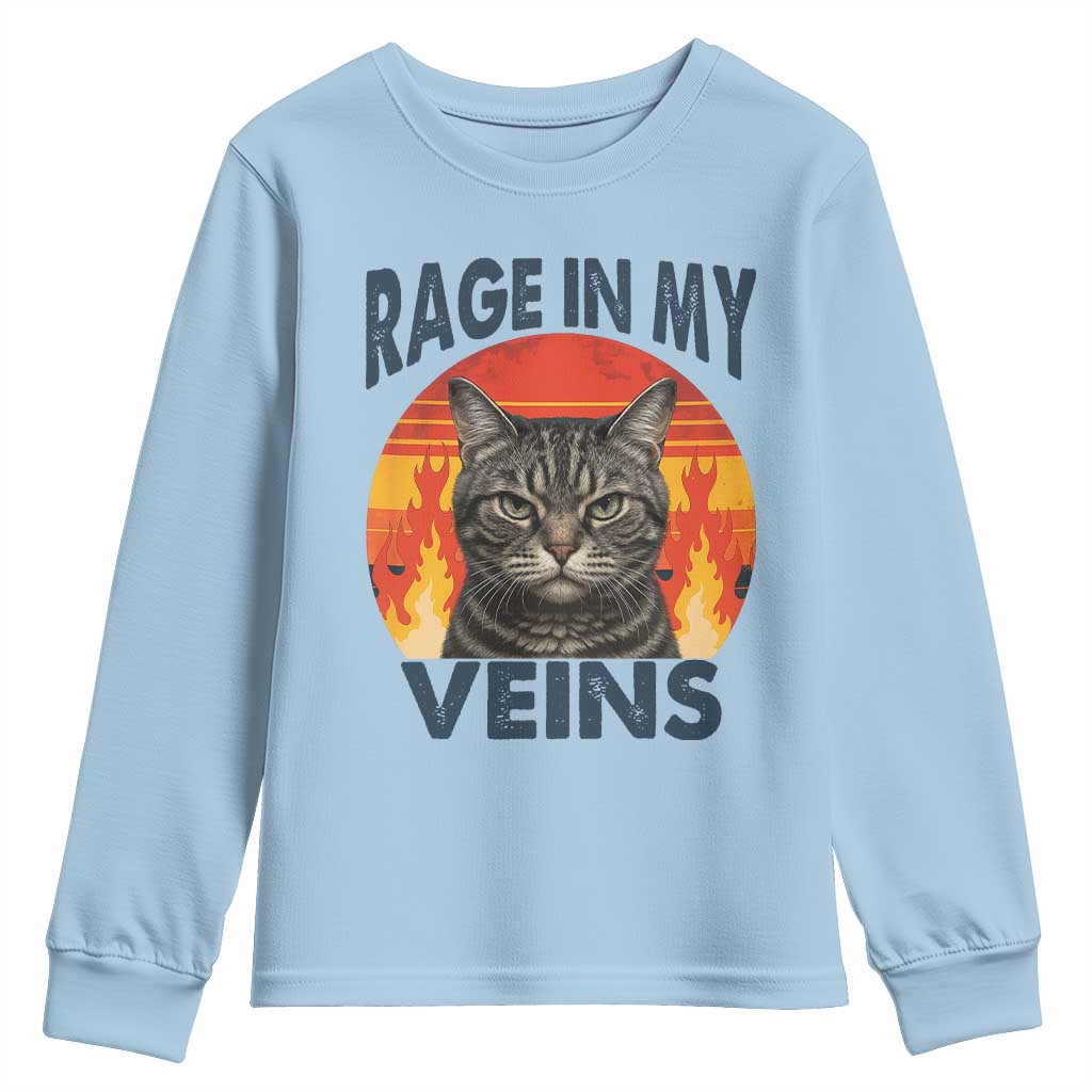 Cat Meme Youth Sweatshirt Funny Rage In My Veins Sarcastic Animal Humor - Wonder Print Shop