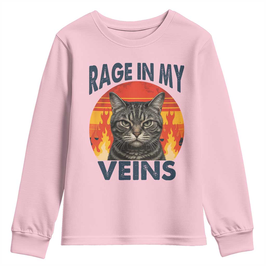 Cat Meme Youth Sweatshirt Funny Rage In My Veins Sarcastic Animal Humor - Wonder Print Shop