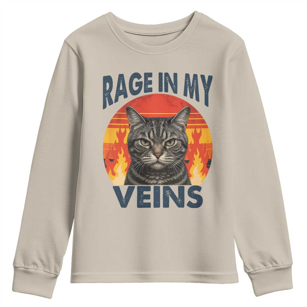 Cat Meme Youth Sweatshirt Funny Rage In My Veins Sarcastic Animal Humor - Wonder Print Shop