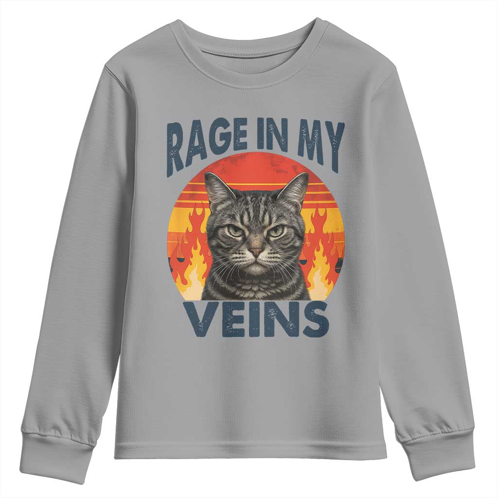 Cat Meme Youth Sweatshirt Funny Rage In My Veins Sarcastic Animal Humor - Wonder Print Shop
