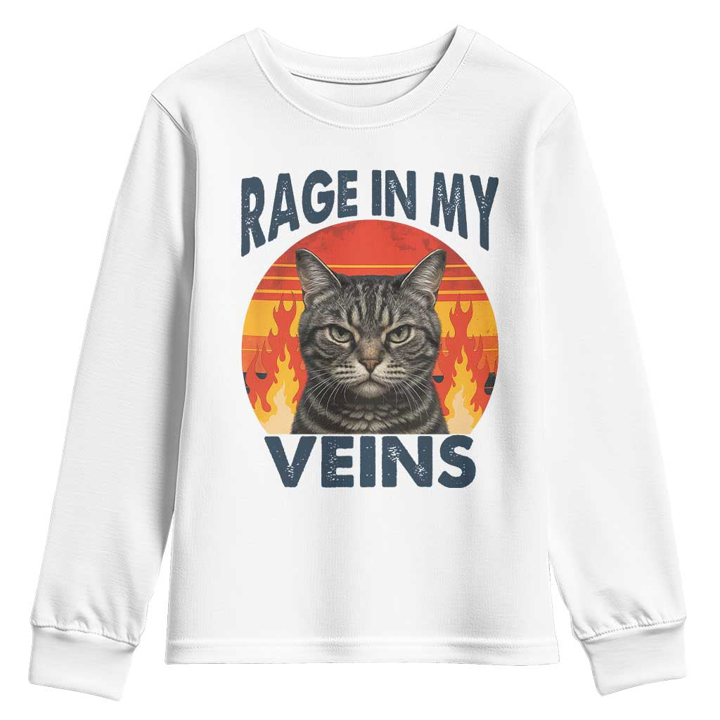 Cat Meme Youth Sweatshirt Funny Rage In My Veins Sarcastic Animal Humor - Wonder Print Shop