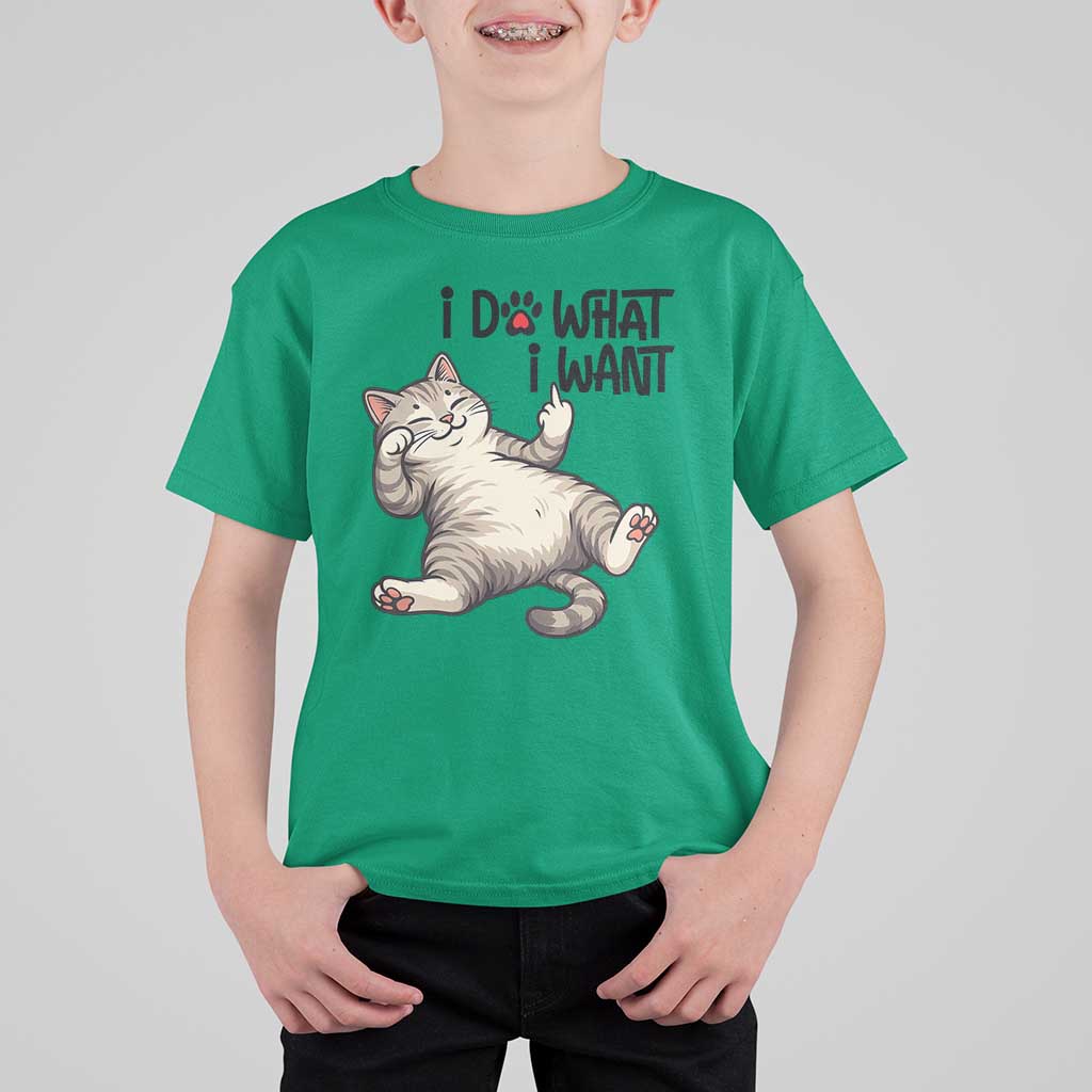 Cat Lover T Shirt For Kid Funny I Do What I Want - Wonder Print Shop