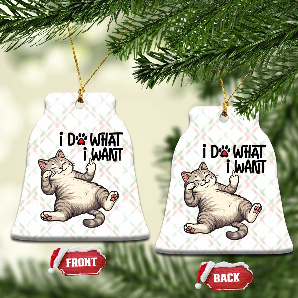Cat Lover Ceramic Ornament Funny I Do What I Want - Wonder Print Shop