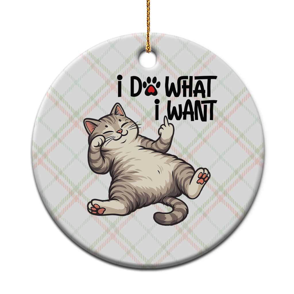 Cat Lover Ceramic Ornament Funny I Do What I Want - Wonder Print Shop