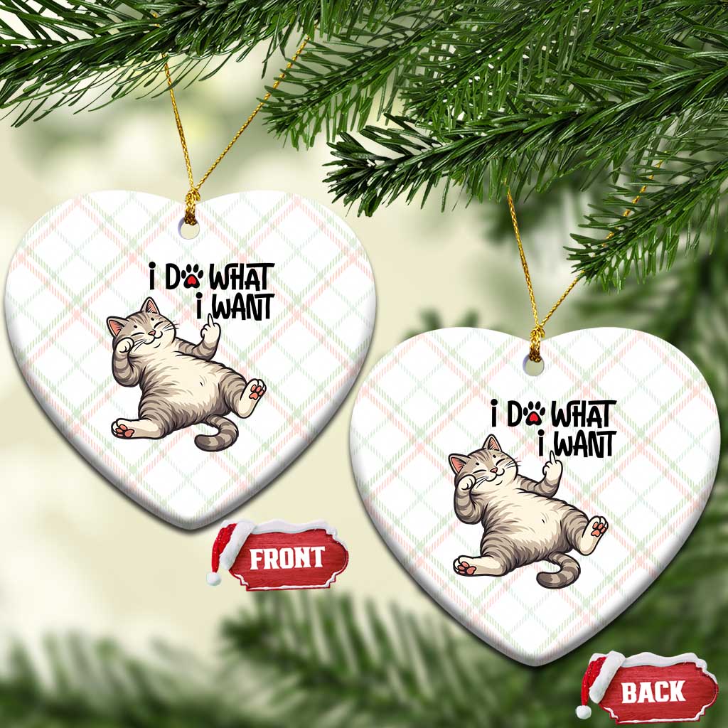 Cat Lover Ceramic Ornament Funny I Do What I Want - Wonder Print Shop
