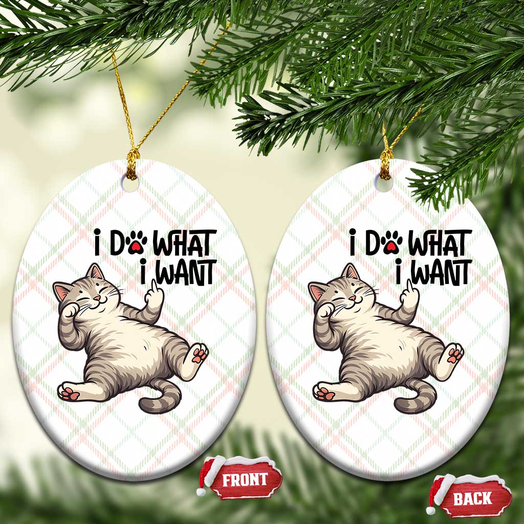 Cat Lover Ceramic Ornament Funny I Do What I Want - Wonder Print Shop
