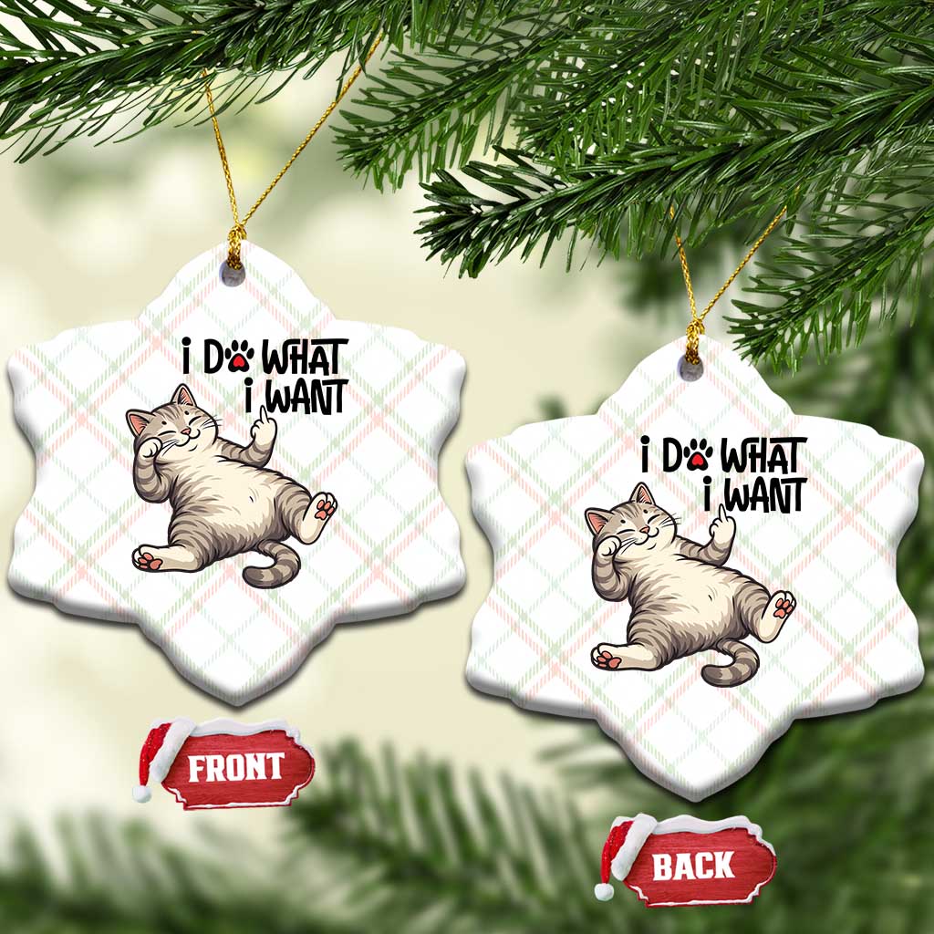 Cat Lover Ceramic Ornament Funny I Do What I Want - Wonder Print Shop