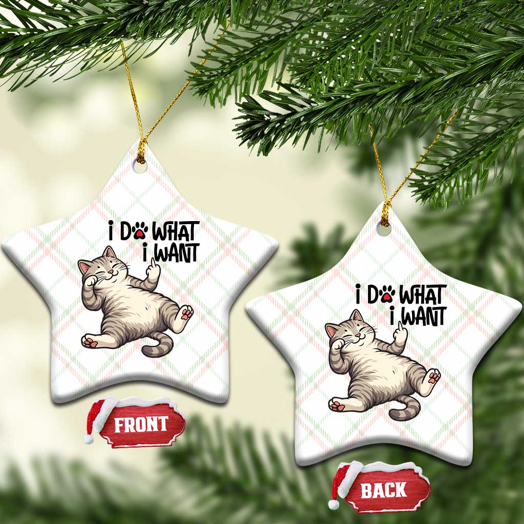 Cat Lover Ceramic Ornament Funny I Do What I Want - Wonder Print Shop