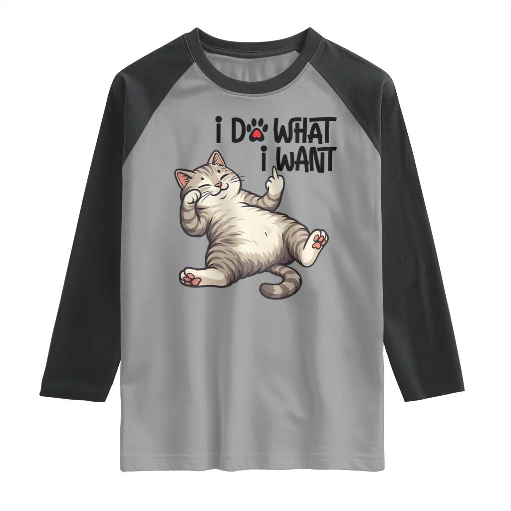 Cat Lover Raglan Shirt Funny I Do What I Want - Wonder Print Shop