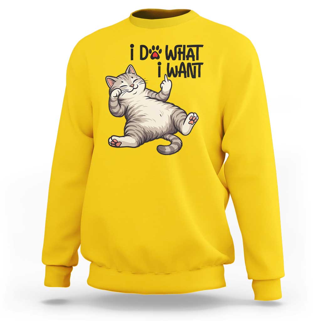 Cat Lover Sweatshirt Funny I Do What I Want - Wonder Print Shop
