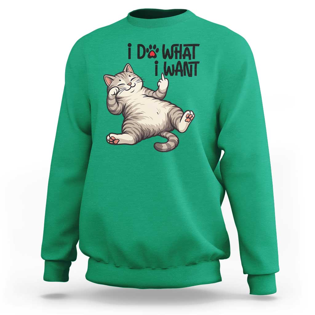Cat Lover Sweatshirt Funny I Do What I Want - Wonder Print Shop