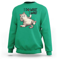 Cat Lover Sweatshirt Funny I Do What I Want - Wonder Print Shop