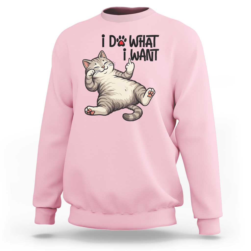 Cat Lover Sweatshirt Funny I Do What I Want - Wonder Print Shop